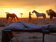 Namibia-Namibia-Damara Elephant Trail to Skeleton Coast